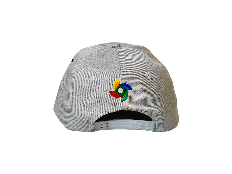 Gorra Vzla Campeon  2026 3