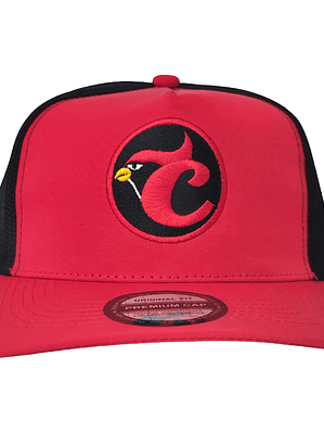 Gorras  LVBP Cardenales 
