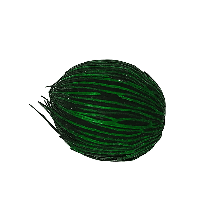 Fava da Prosperidade / Abre caminhos - verde 1