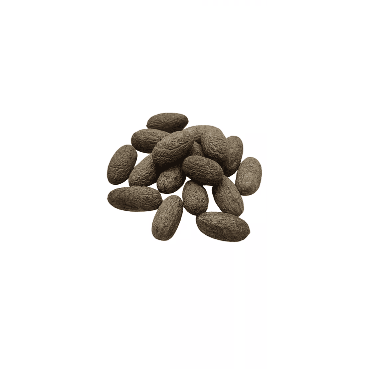 Fava de Exú (escroto) 1