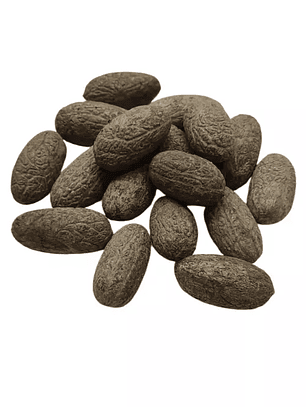 Fava de Exú (escroto)