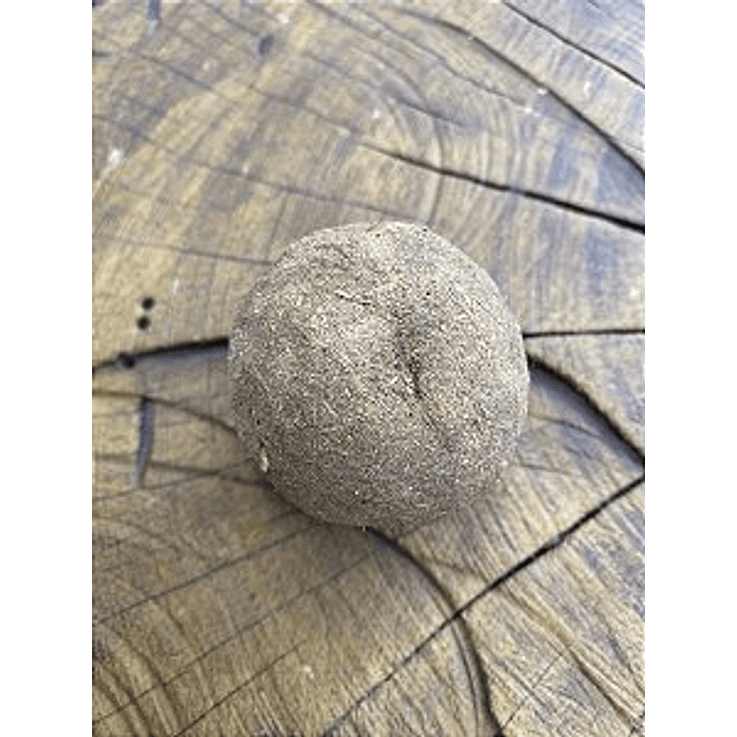 Bufa de Boi (Bola de Bucho) 1