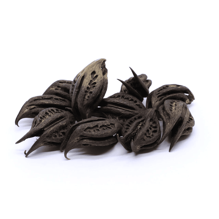 Garras De Pombagira  1