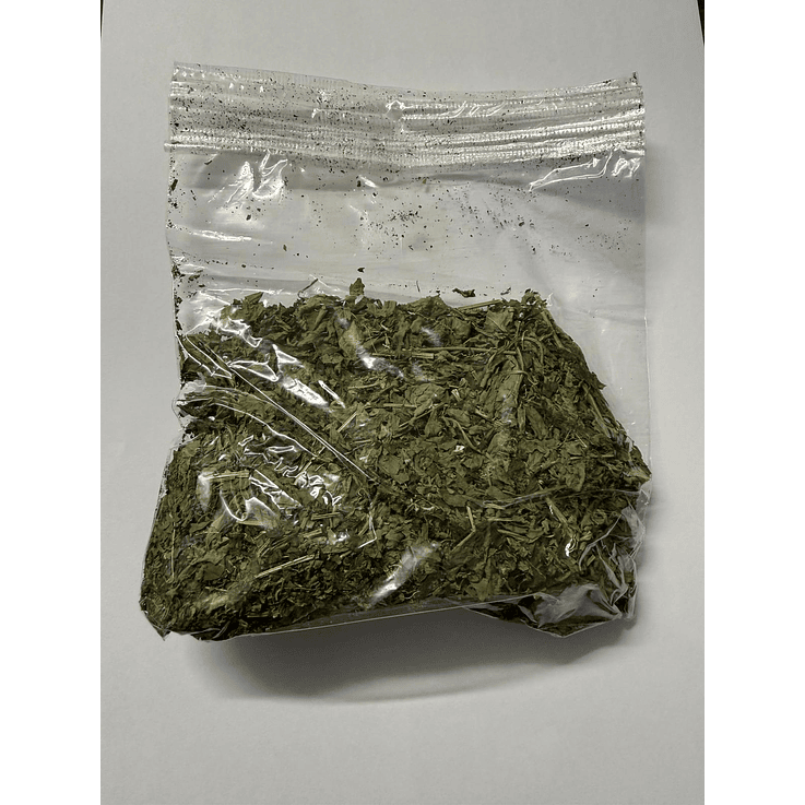 Erva Melão de São Caetano  1