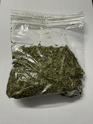 Erva Melão de São Caetano 