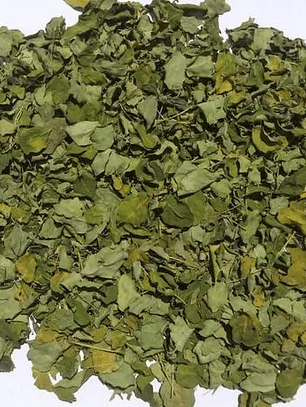 Erva Moringa 