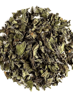 Hortelã pimenta (Poejo)