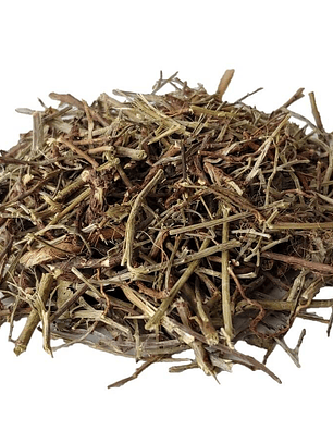 Erva Quebra Pedra (chá)