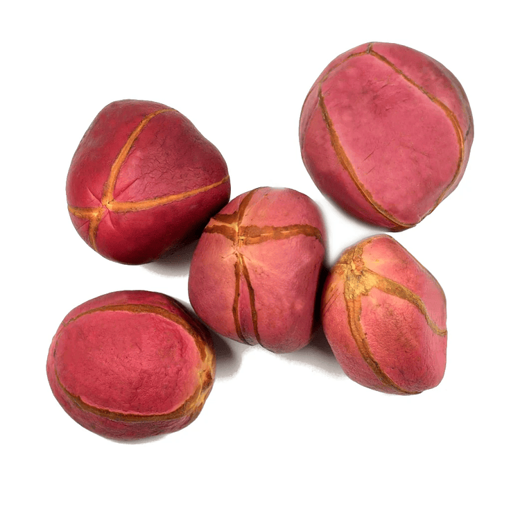 Obi africano 5 gomos 1