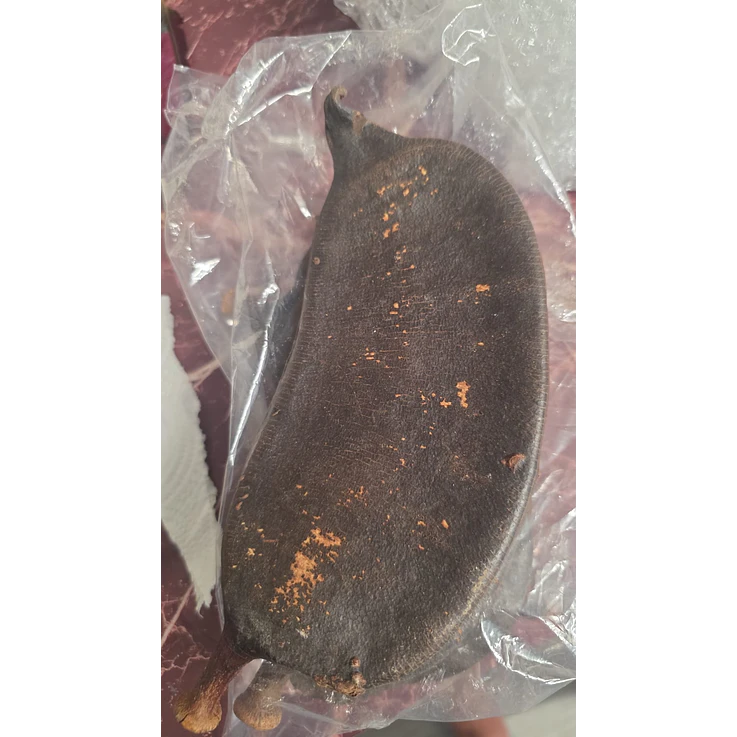 Fava Andará  1