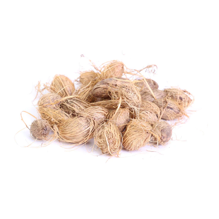 Fava da Saúde 1