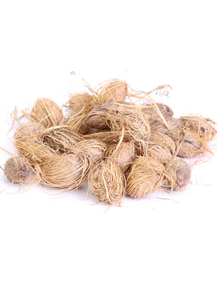 Fava da Saúde