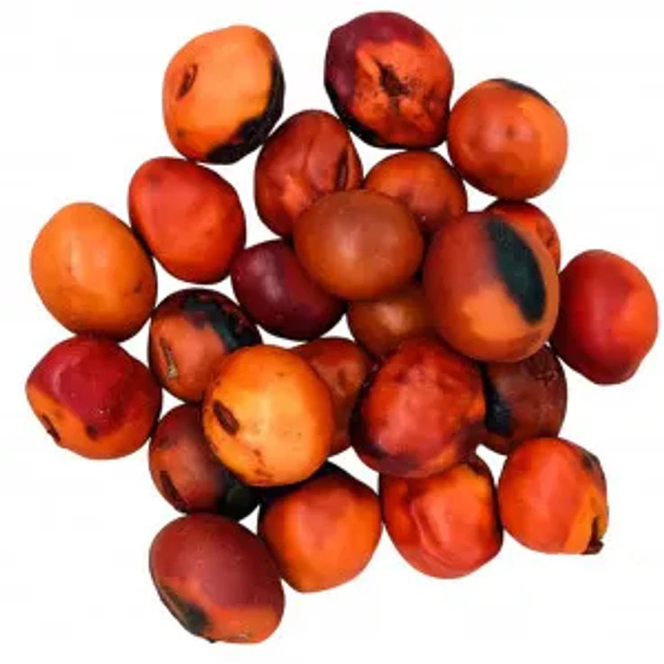 Fava de Exú 2 1