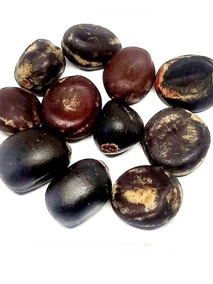Fava de Ossain