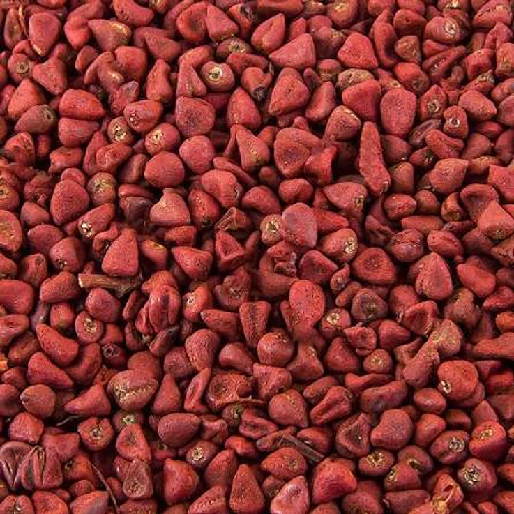 Urucum semente 10g 1