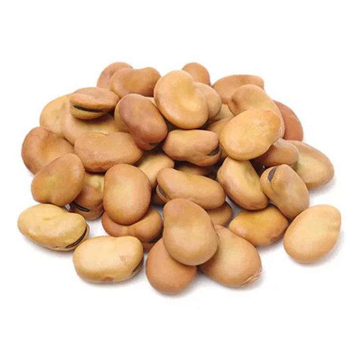 Fava de Iansã - castanho 1