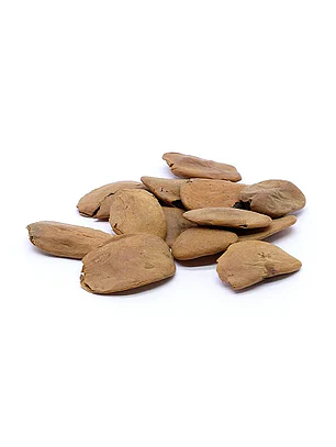 Fava De Aberé  