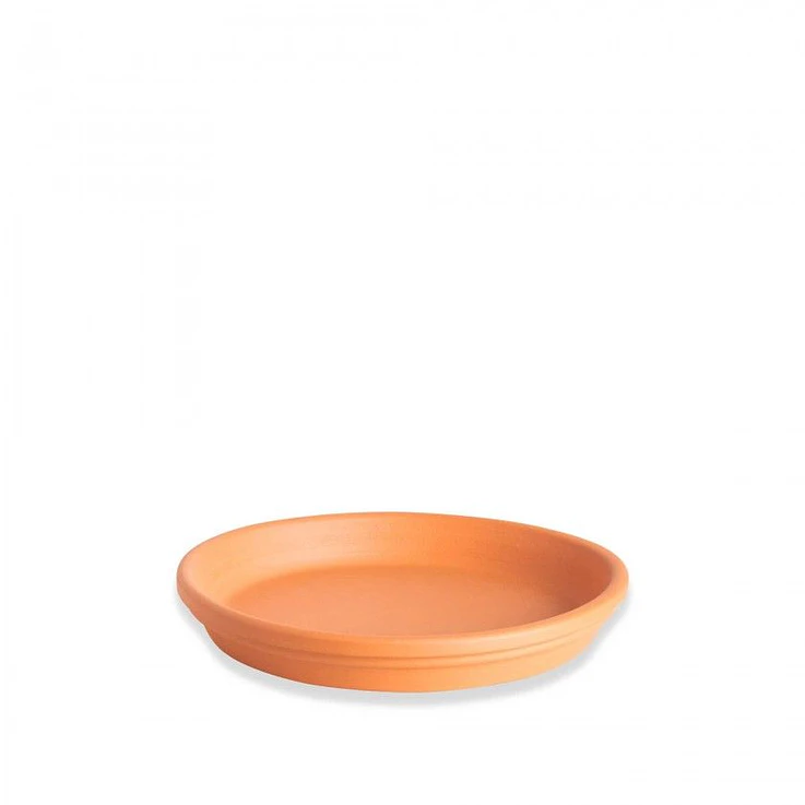 Prato 15cm x 3cm 2