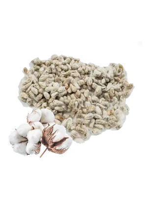 Eéran òwú (Semente de Algodoeiro) 10g