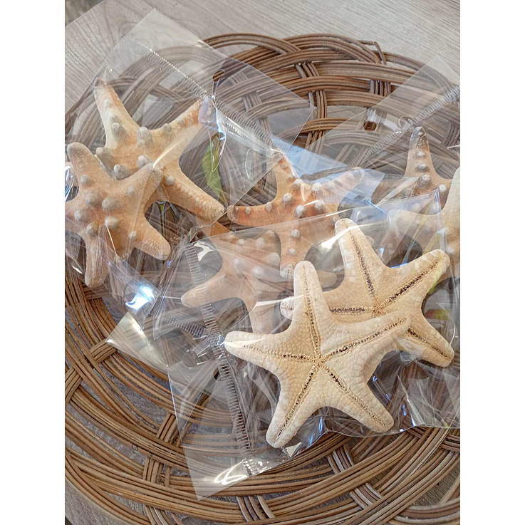Estrelas do mar natural - 2 unidades 1