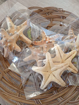 Estrelas do mar natural - 2 unidades