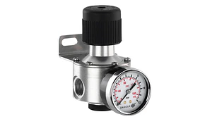 REGULADOR PRESION 430 PLUS 1/4 (10740503)