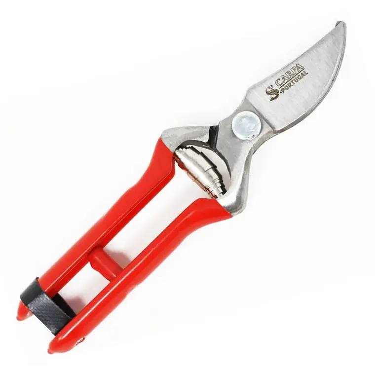 TIJERA PODAR M/PLASTICO 19 CM. (01E19L) 1