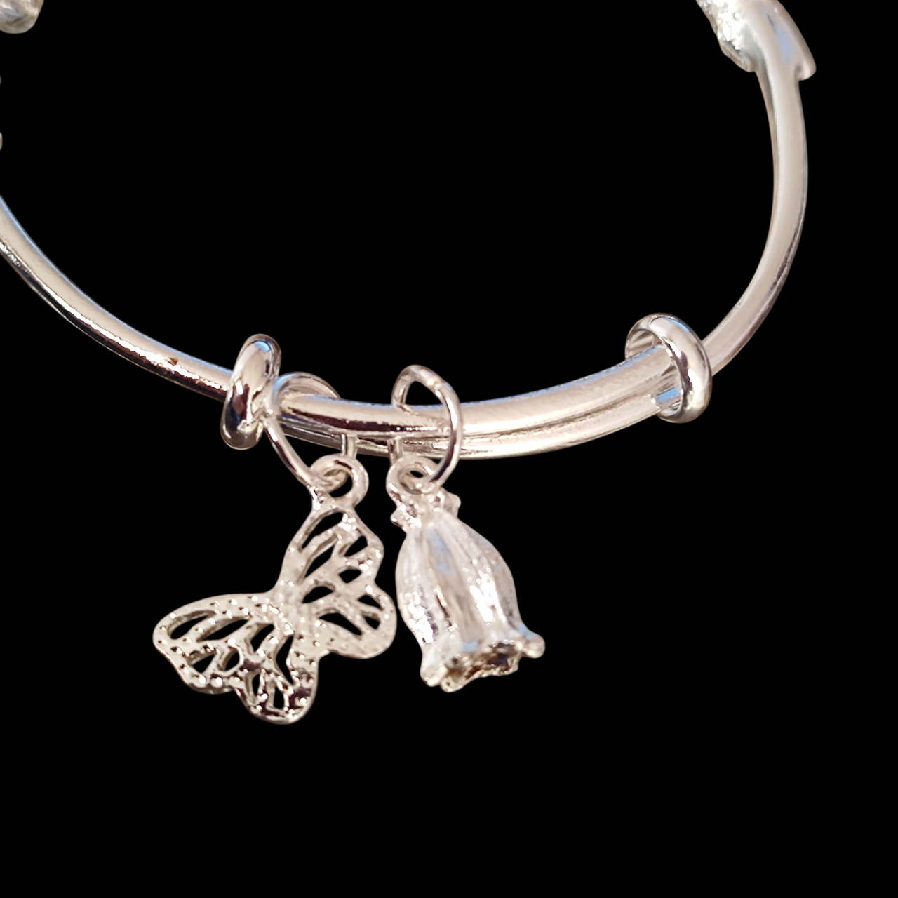 Brazalete Plata 925 Dijes 3
