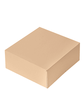 Caixa Para Pastelaria Sem Janela - Saco - Pack 50