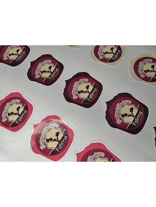 100 Stickers 5 cm Forma Personalizada 