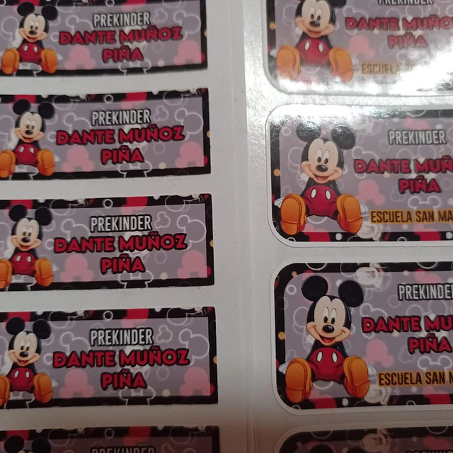 Pack etiquetas ropa y stickers escolares, personajes a elección 11