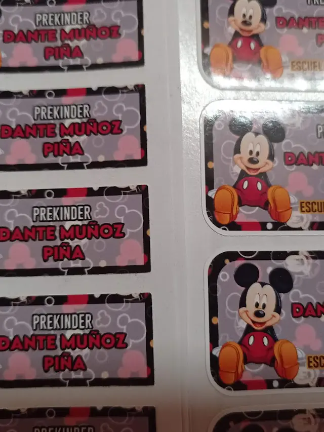 Pack etiquetas ropa y stickers escolares, personajes a elección 11