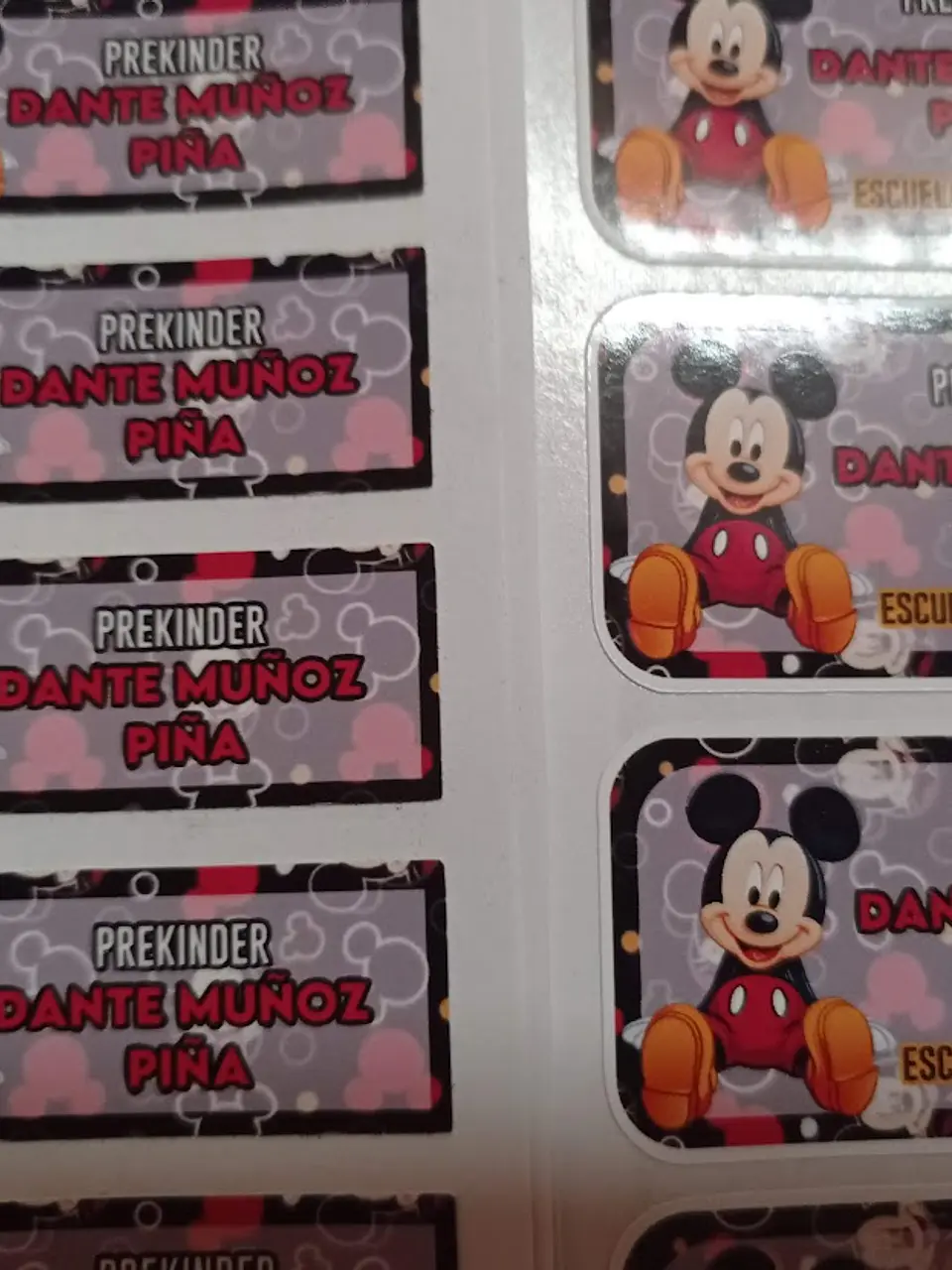 Pack etiquetas ropa y stickers escolares, personajes a elección 11