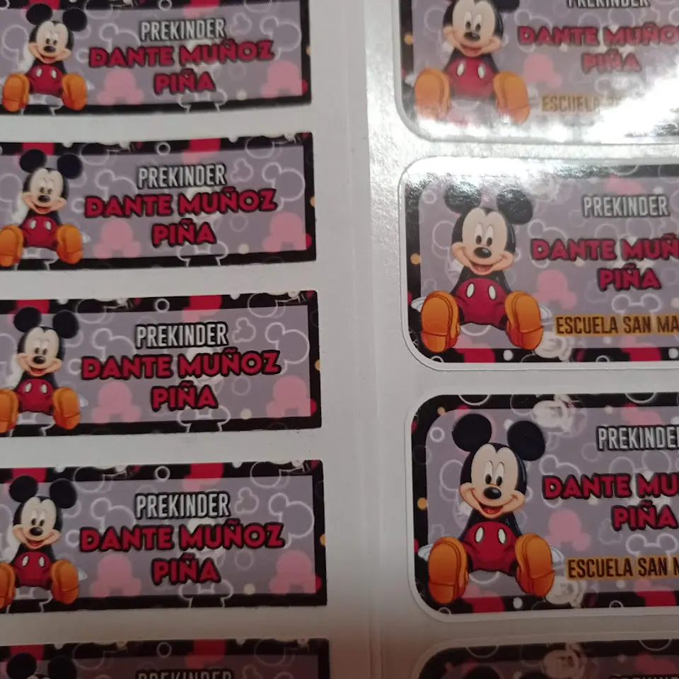 Pack etiquetas ropa y stickers escolares, personajes a elección 11