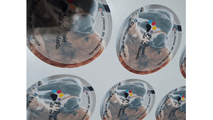 Stickers 8 x8 cms personalizados