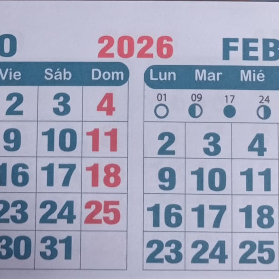 Calendario BIMENSUAL imprimible 2026  3