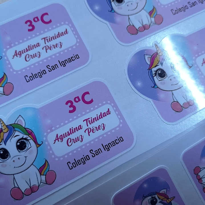 Pack de Etiquetas Escolares Personalizadas adhesivas – Diseños por Asignatura 10