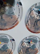 Pack 100 Stickers 5x5 o 5 cms personalizados - Miniatura 3