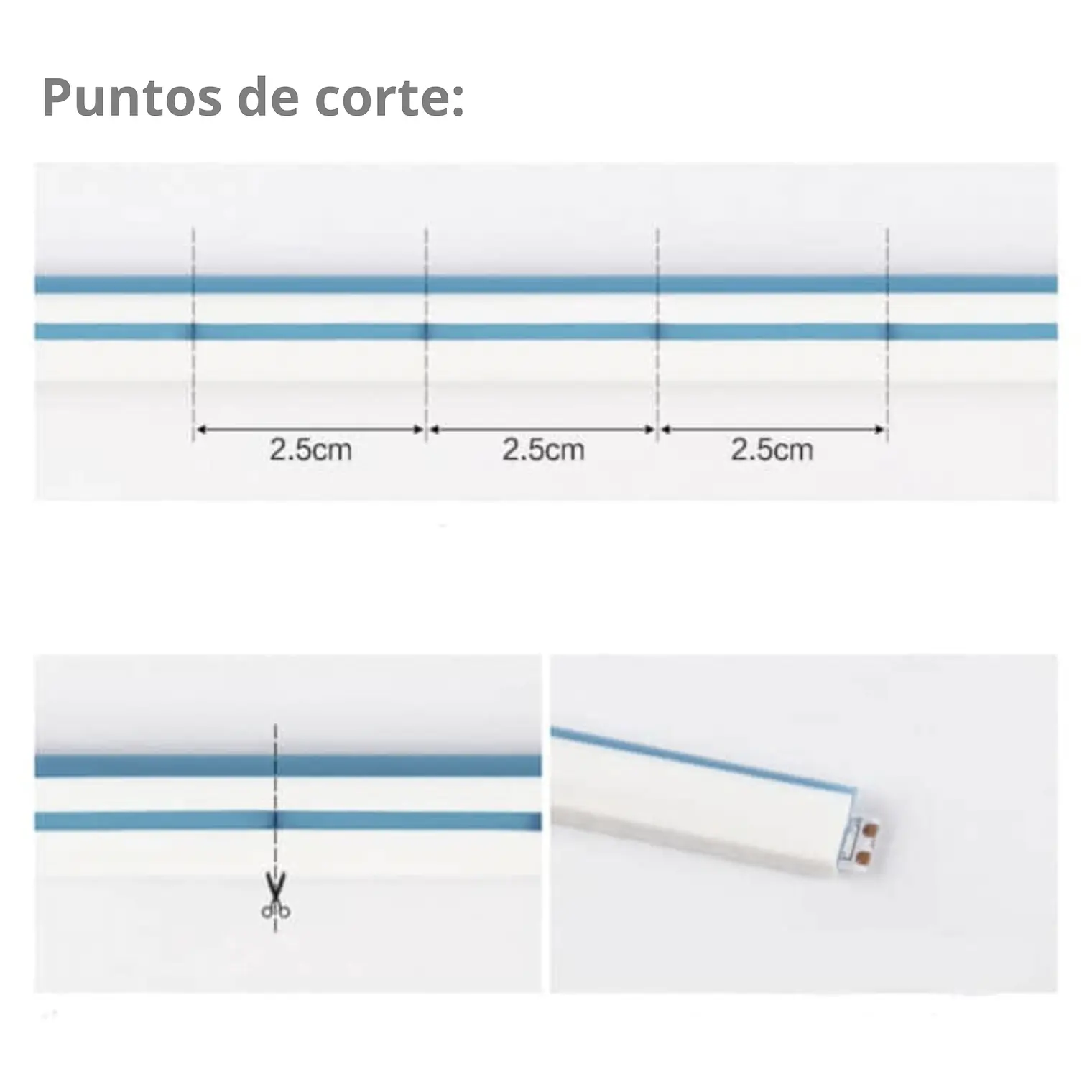 Neón flexible 5 metros + fuente de poder 3
