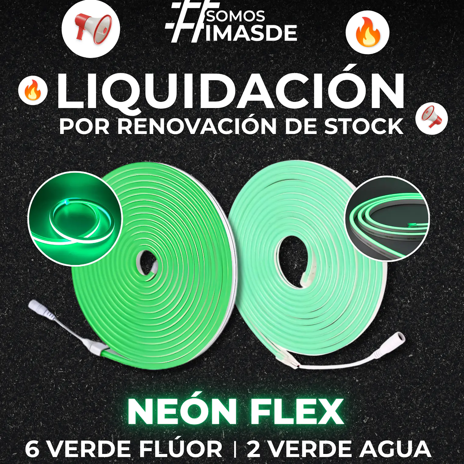 Neón Flex  1