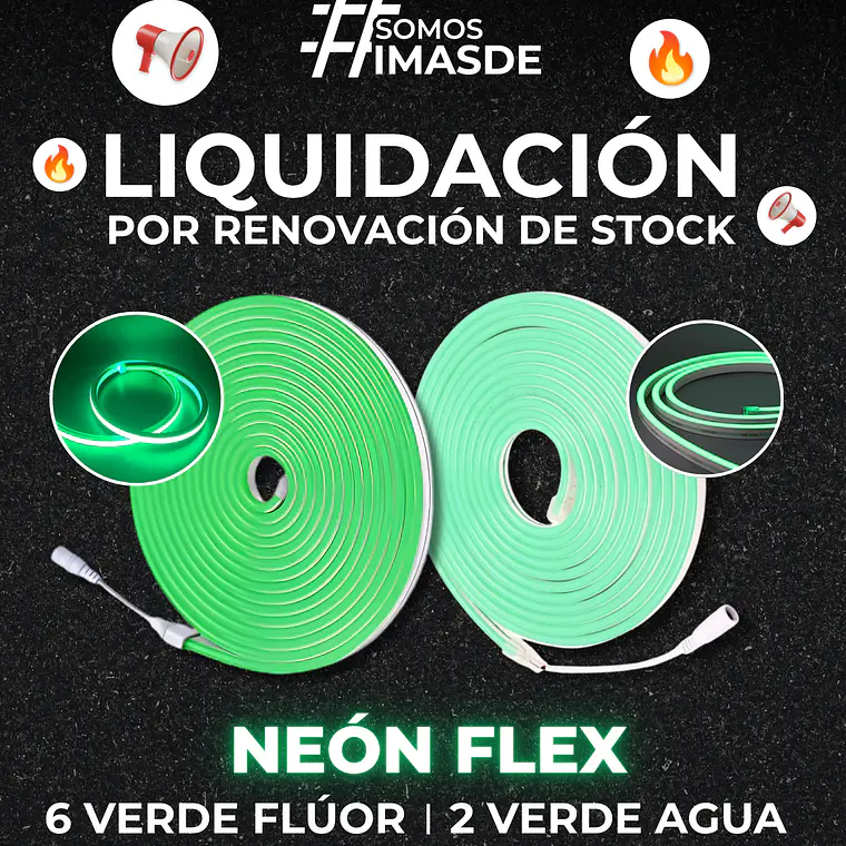 Neón Flex  1