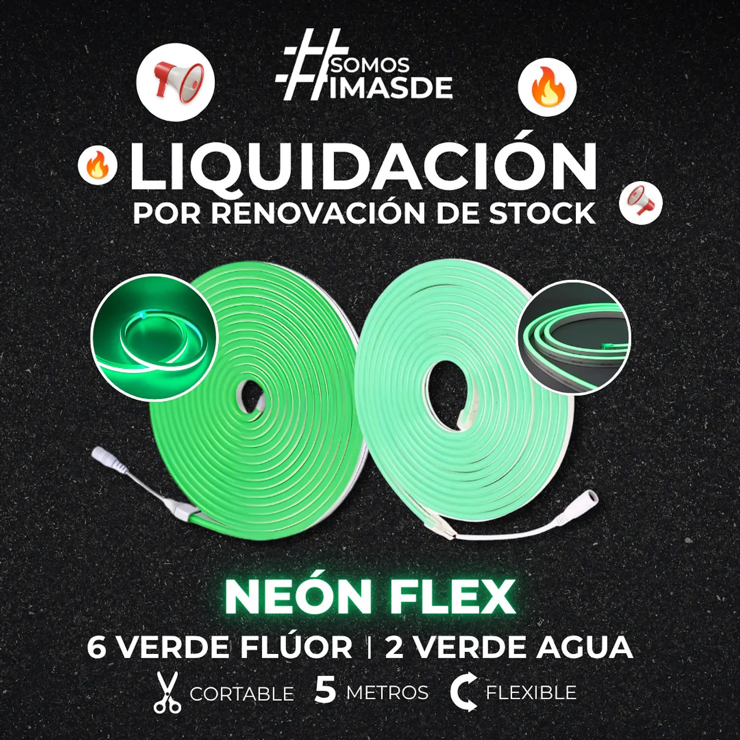 Neón Flex  1