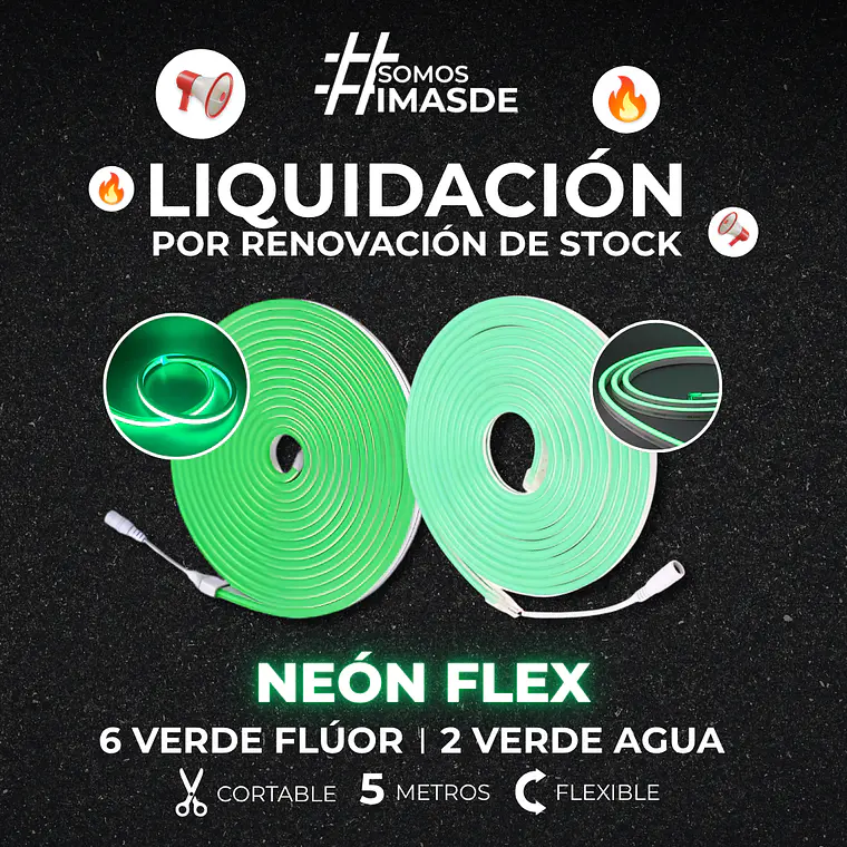 Neón Flex  1
