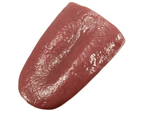 Lengua Falsa Broma Disfraz Halloween