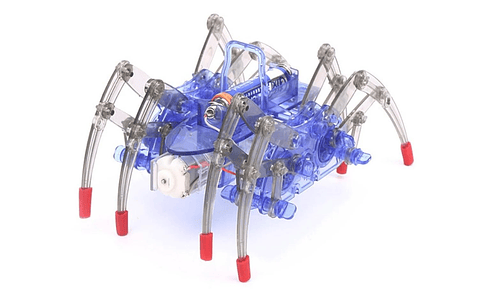 Juguete Armable Araña para Niños