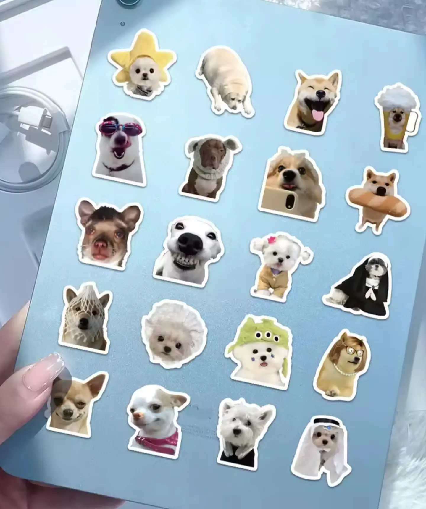 sticker perritos para pegar muy lindos memes 4