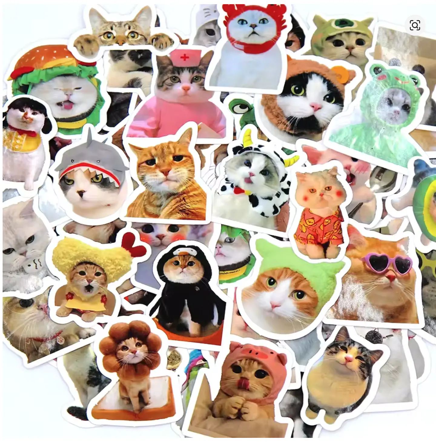sticker gatitos gato meme para pegar 1