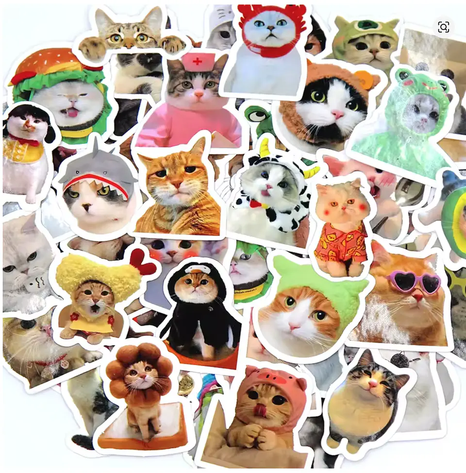 sticker gatitos gato meme para pegar 1