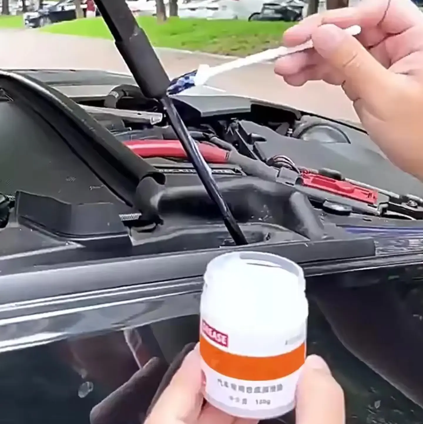 Lubricante Para Bisagras De Puertas De Automóviles Grasa 3