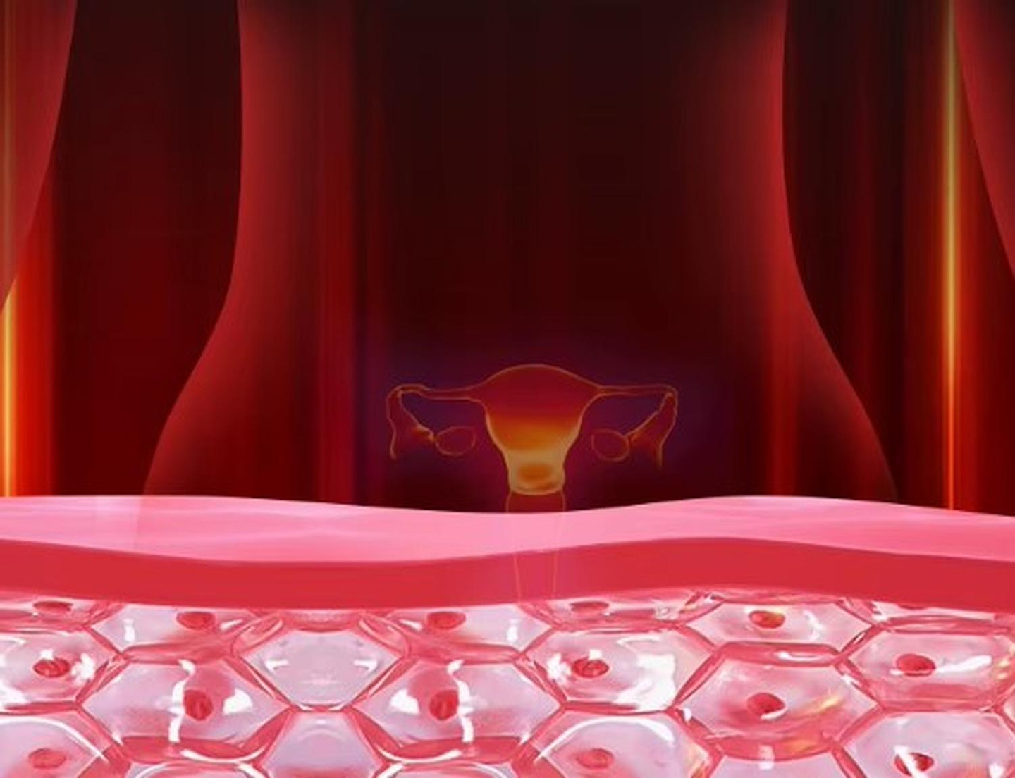 masajeador cinturon calor relajo menstrual recargable vibra de grapheno 3